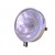 koplamp rond Guia zwart  Maxi